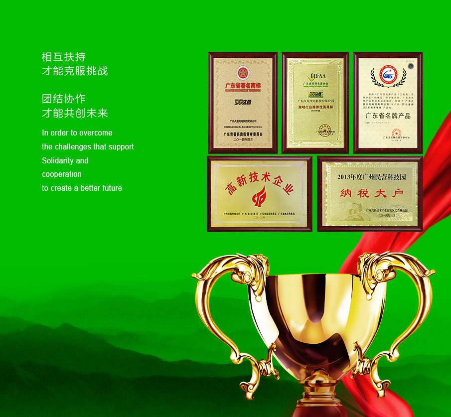 九州体育·（中国）手机网页版企业荣誉